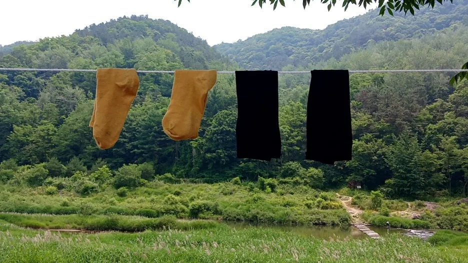 20240610_124554177.jpg?type=w1