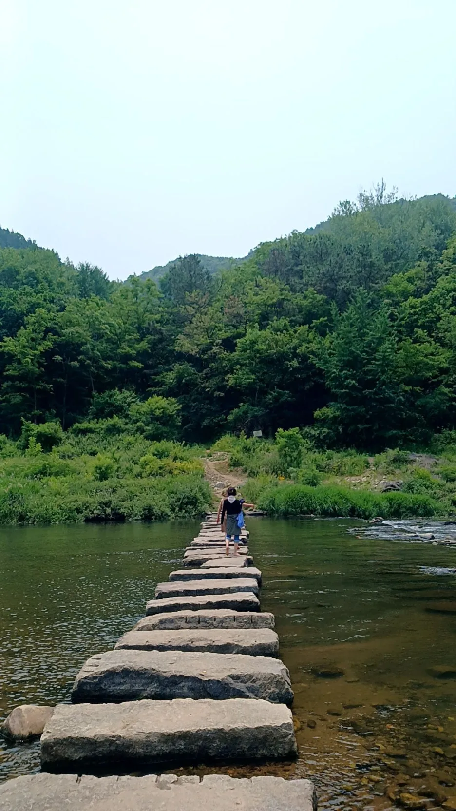 20240610_122549006.jpg?type=w1