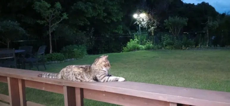 900%EF%BC%BF20250520%EF%BC%BF200833.jpg?type=w773