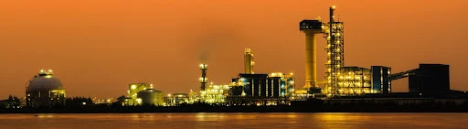 vomico.jpg?type=w773