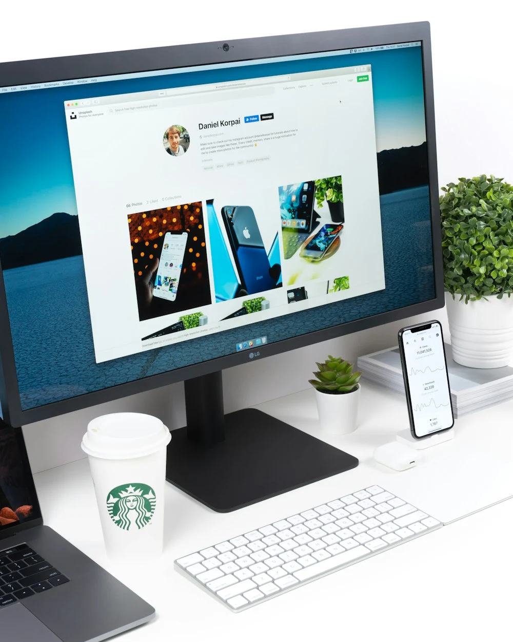 photo-1548524238-a971a4a3b523?q=80&w=1000&auto=format&fit=crop&ixlib=rb-4.0.3&ixid=M3wxMjA3fDB8MHxwaG90by1wYWdlfHx8fGVufDB8fHx8fA%3D%3D