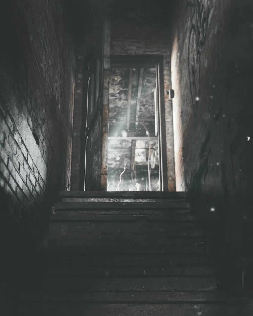 photo-1544380952-ff58283bdd2f?ixlib=rb-4.0.3&ixid=M3wxMjA3fDB8MHxwaG90by1wYWdlfHx8fGVufDB8fHx8fA%3D%3D&auto=format&fit=crop&w=1000&q=80