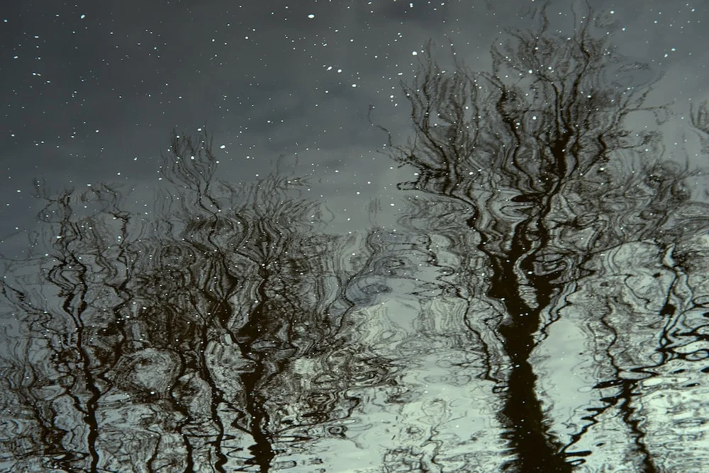 photo-1610088803590-fa407c6d6b89?ixlib=rb-4.0.3&ixid=M3wxMjA3fDB8MHxwaG90by1wYWdlfHx8fGVufDB8fHx8fA%3D%3D&auto=format&fit=crop&w=1000&q=80