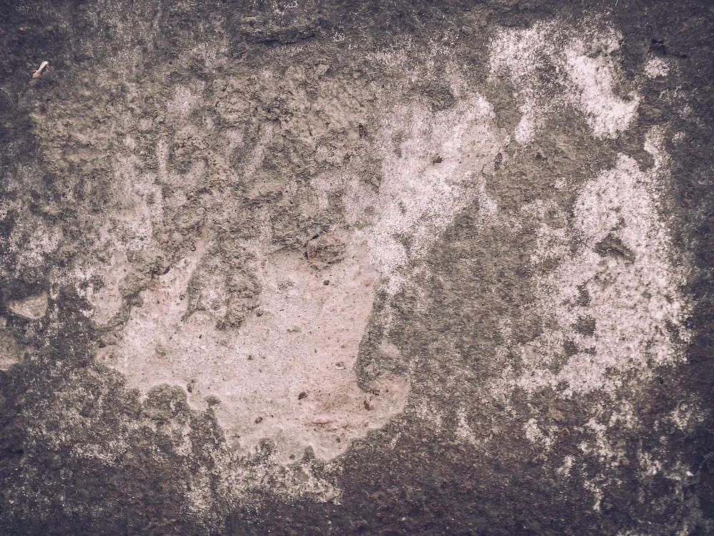 photo-1577173893350-c62eddddaf24?ixlib=rb-4.0.3&ixid=M3wxMjA3fDB8MHxwaG90by1wYWdlfHx8fGVufDB8fHx8fA%3D%3D&auto=format&fit=crop&w=1000&q=80