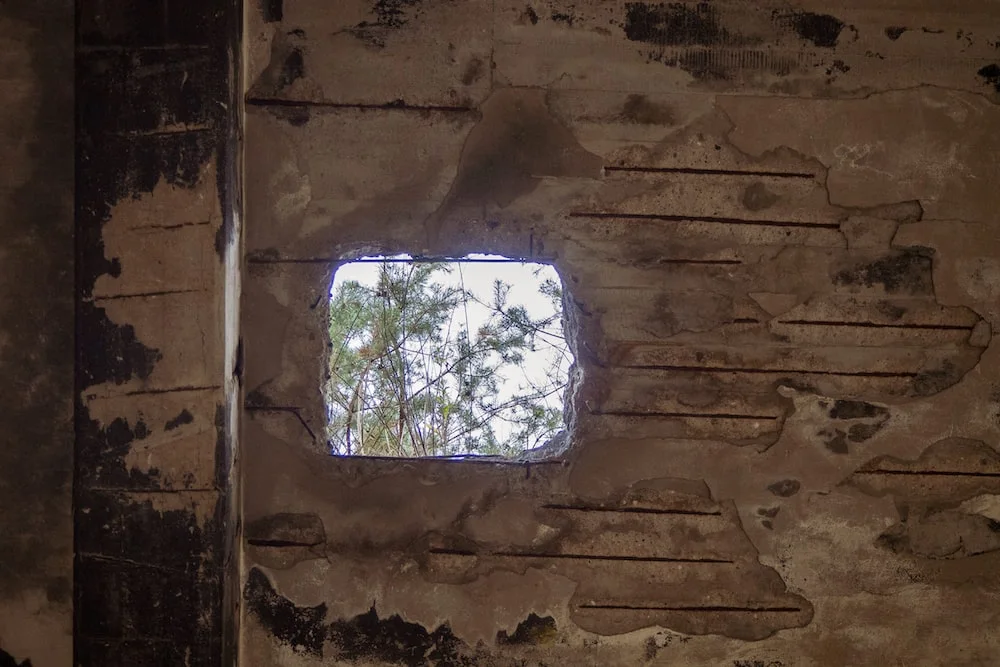 photo-1606470828561-213768a09963?ixlib=rb-4.0.3&ixid=M3wxMjA3fDB8MHxwaG90by1wYWdlfHx8fGVufDB8fHx8fA%3D%3D&auto=format&fit=crop&w=1000&q=80