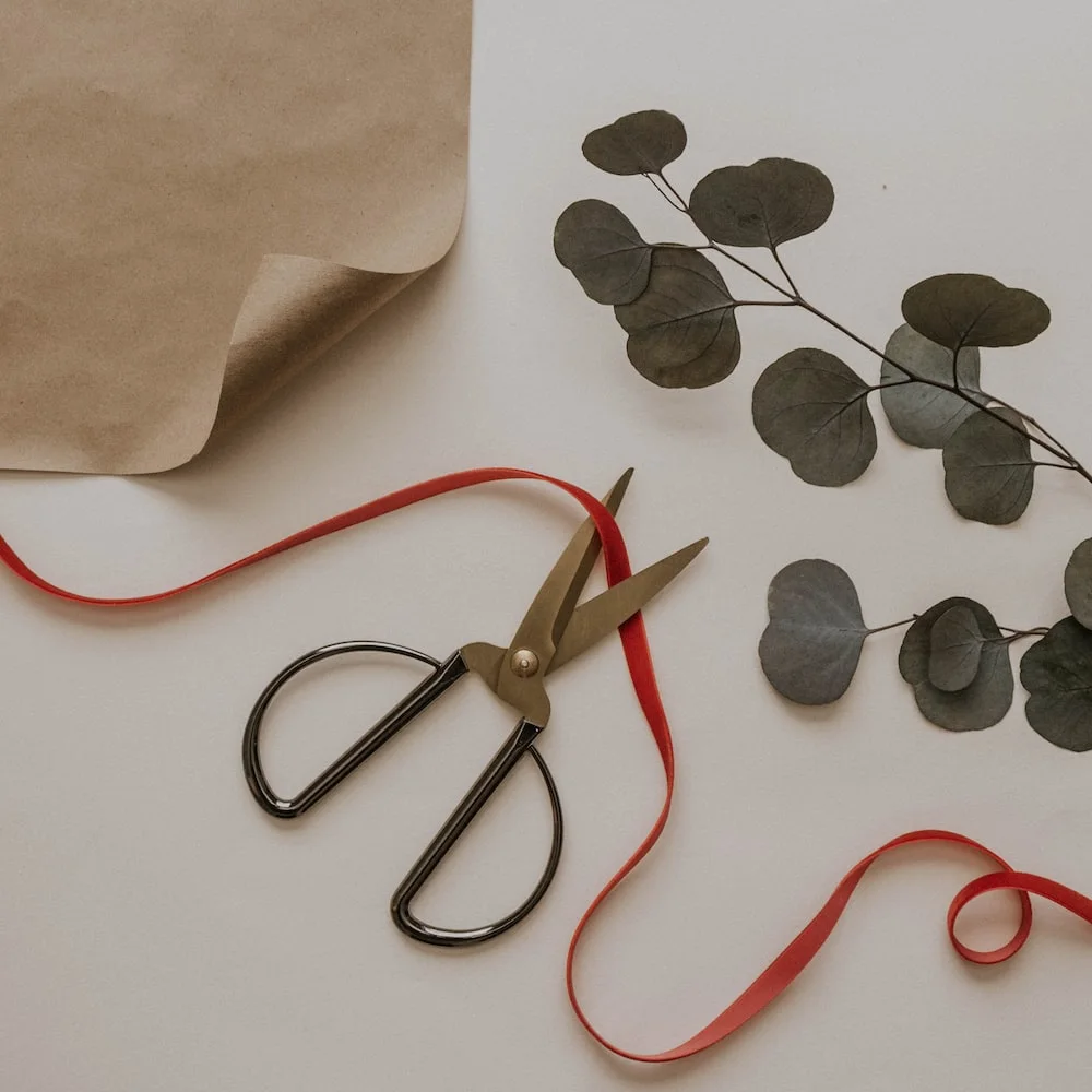 photo-1574858818846-886b8380713b?q=80&w=1000&auto=format&fit=crop&ixlib=rb-4.0.3&ixid=M3wxMjA3fDB8MHxwaG90by1wYWdlfHx8fGVufDB8fHx8fA%3D%3D