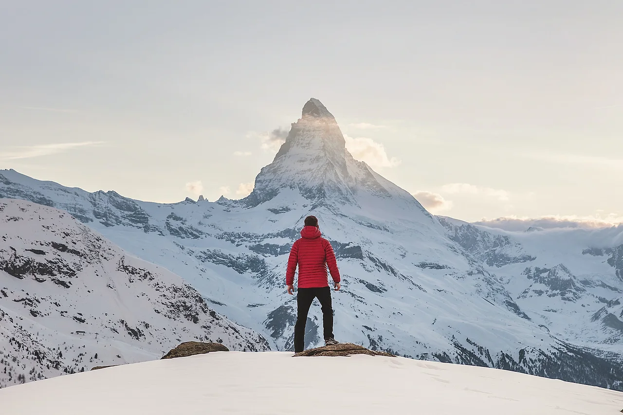 photo-1491555103944-7c647fd857e6?ixlib=rb-4.0.3&ixid=MnwxMjA3fDB8MHxwaG90by1wYWdlfHx8fGVufDB8fHx8&auto=format&fit=crop&w=1000&q=80