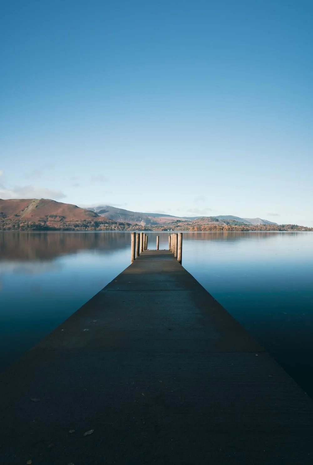 photo-1636896300112-b2738e0290e9?ixlib=rb-4.0.3&ixid=M3wxMjA3fDB8MHxwaG90by1wYWdlfHx8fGVufDB8fHx8fA%3D%3D&auto=format&fit=crop&w=1000&q=80