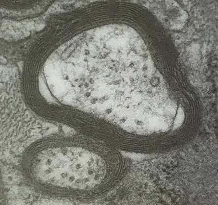 1621039810492.jpg?type=w800