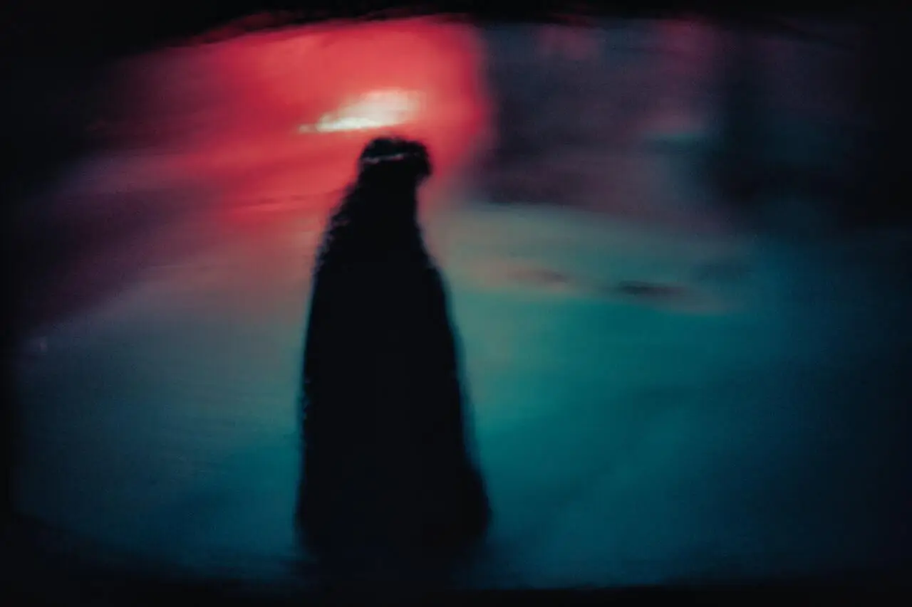 tDWHjar2hlwSpVGZVy6pvXL6E_M