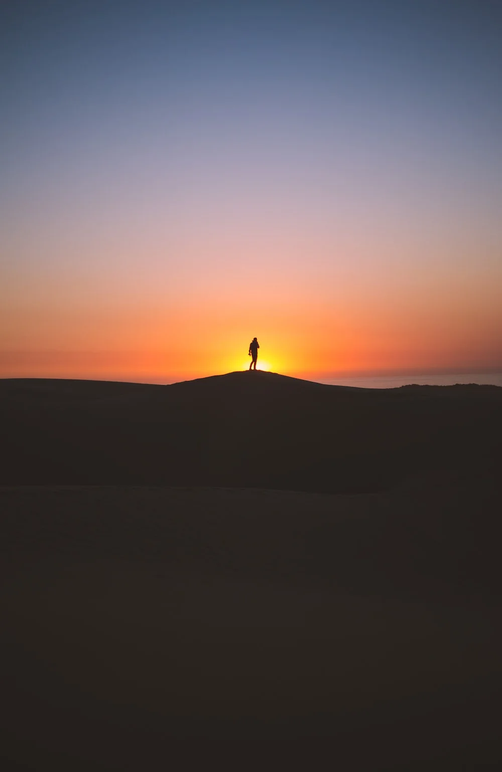 photo-1517437478710-db9151f07d20?q=80&w=1000&auto=format&fit=crop&ixlib=rb-4.0.3&ixid=M3wxMjA3fDB8MHxwaG90by1wYWdlfHx8fGVufDB8fHx8fA%3D%3D