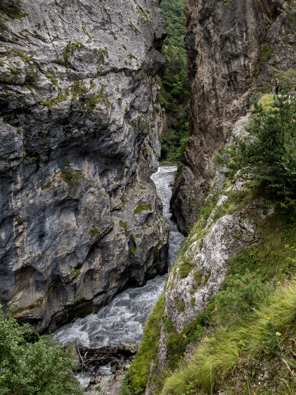 photo-1597583306681-c255adcd5426?ixlib=rb-4.0.3&ixid=M3wxMjA3fDB8MHxwaG90by1wYWdlfHx8fGVufDB8fHx8fA%3D%3D&auto=format&fit=crop&w=1000&q=80