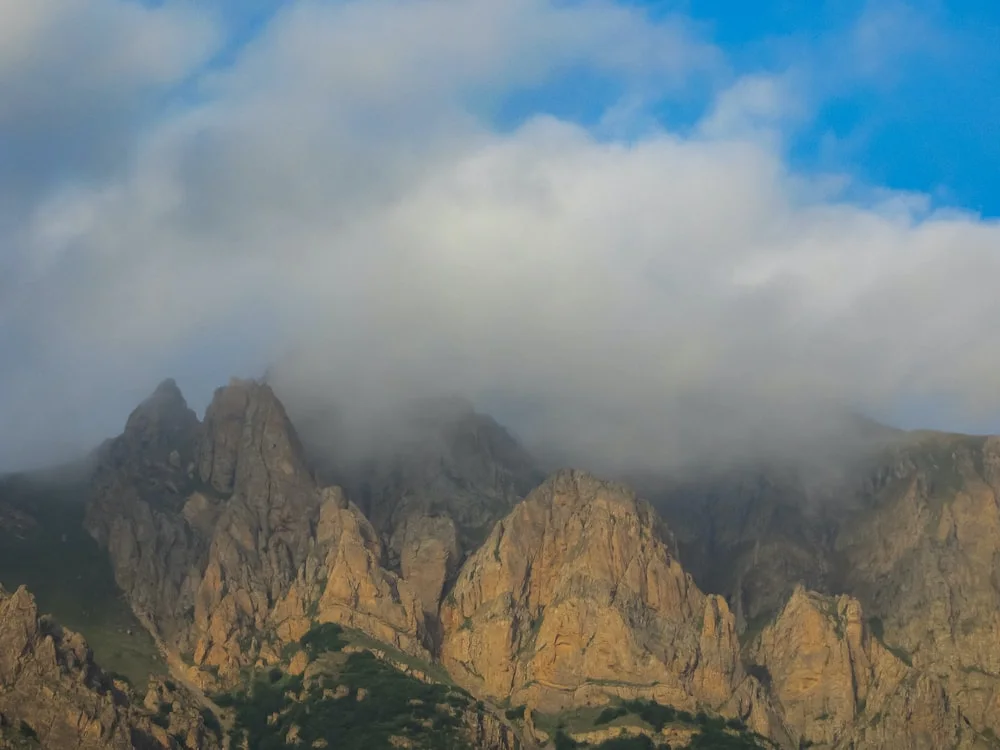 photo-1646381852797-a662af4fd6d7?ixlib=rb-4.0.3&ixid=M3wxMjA3fDB8MHxwaG90by1wYWdlfHx8fGVufDB8fHx8fA%3D%3D&auto=format&fit=crop&w=1000&q=80