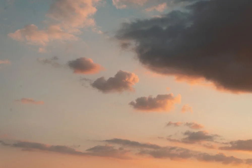 photo-1607666340313-493c5017a3a0?q=80&w=1000&auto=format&fit=crop&ixlib=rb-4.0.3&ixid=M3wxMjA3fDB8MHxwaG90by1wYWdlfHx8fGVufDB8fHx8fA%3D%3D