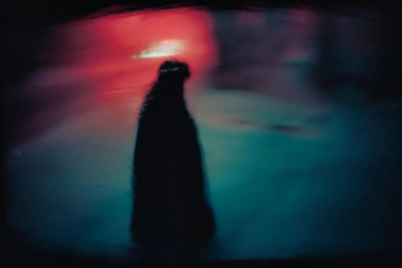 Vx9C4DmoEmv0S7HvGT7tzm9ObMc