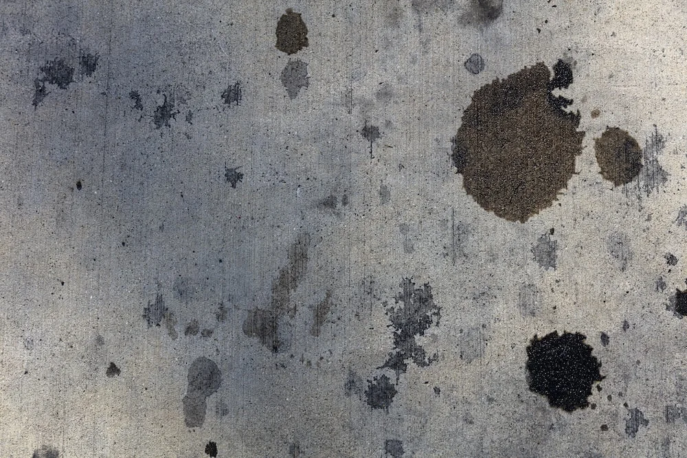 photo-1604177420692-1d3920037732?q=80&w=1000&auto=format&fit=crop&ixlib=rb-4.0.3&ixid=M3wxMjA3fDB8MHxwaG90by1wYWdlfHx8fGVufDB8fHx8fA%3D%3D