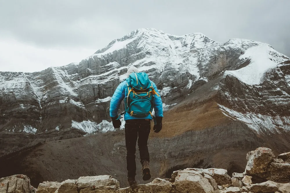 photo-1586399254847-02e1369bac88?ixlib=rb-4.0.3&ixid=M3wxMjA3fDB8MHxwaG90by1wYWdlfHx8fGVufDB8fHx8fA%3D%3D&auto=format&fit=crop&w=1000&q=80