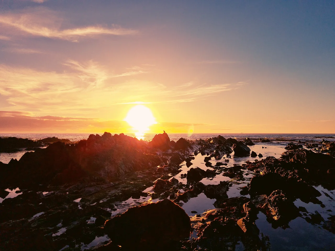 photo-1622888576110-dddb48894a5a?ixlib=rb-4.0.3&ixid=MnwxMjA3fDB8MHxwaG90by1wYWdlfHx8fGVufDB8fHx8&auto=format&fit=crop&w=1000&q=80