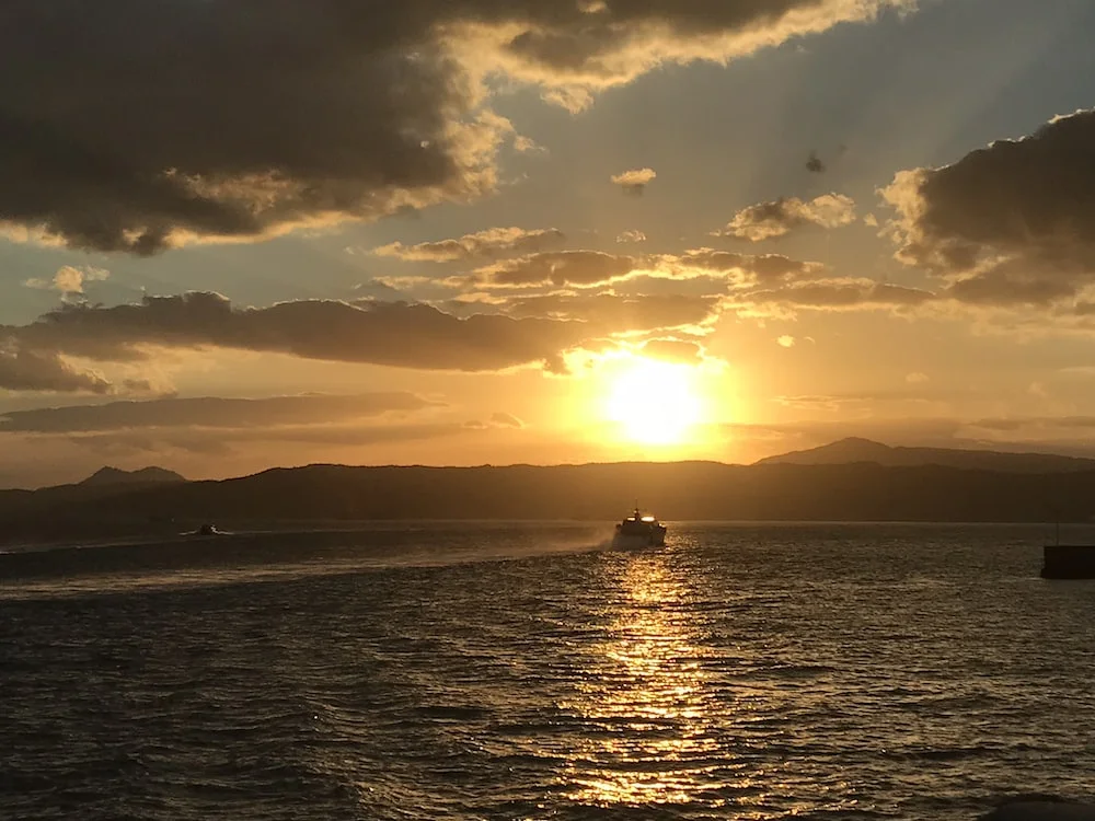 photo-1587801150503-75215cfff88c?ixlib=rb-4.0.3&ixid=MnwxMjA3fDB8MHxwaG90by1wYWdlfHx8fGVufDB8fHx8&auto=format&fit=crop&w=1000&q=80