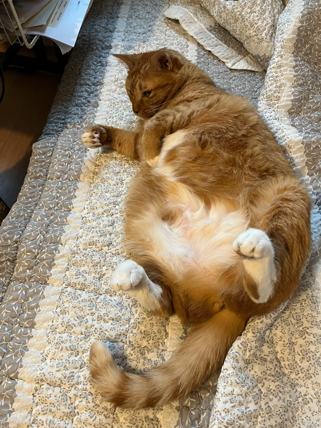 KakaoTalk_Photo_2022-08-23-14-47-42 002.jpeg