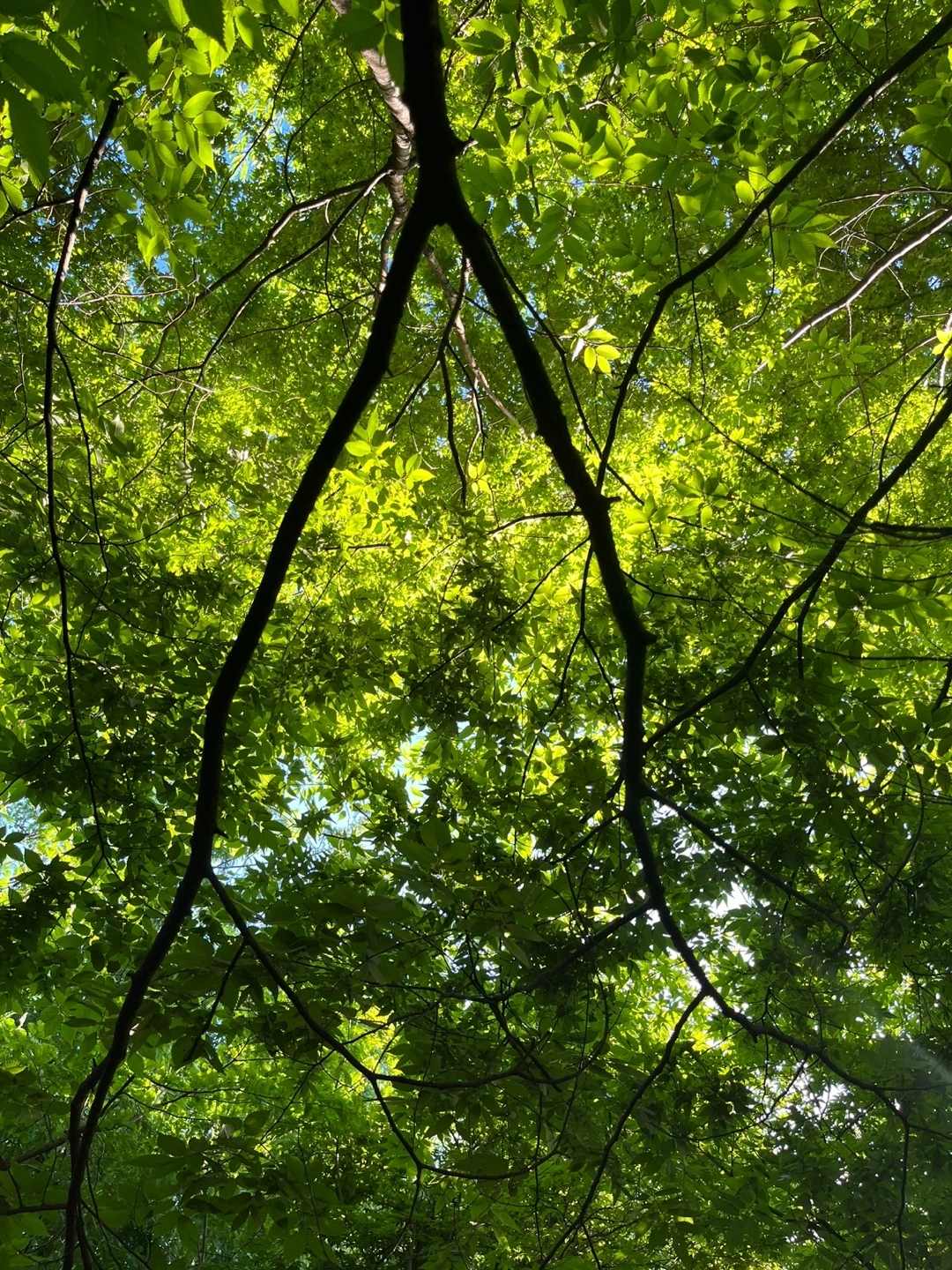 KakaoTalk_Photo_2022-08-23-14-47-44 017.jpeg