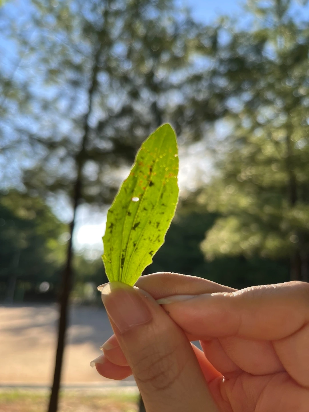 KakaoTalk_Photo_2022-08-23-14-47-44 016.jpeg