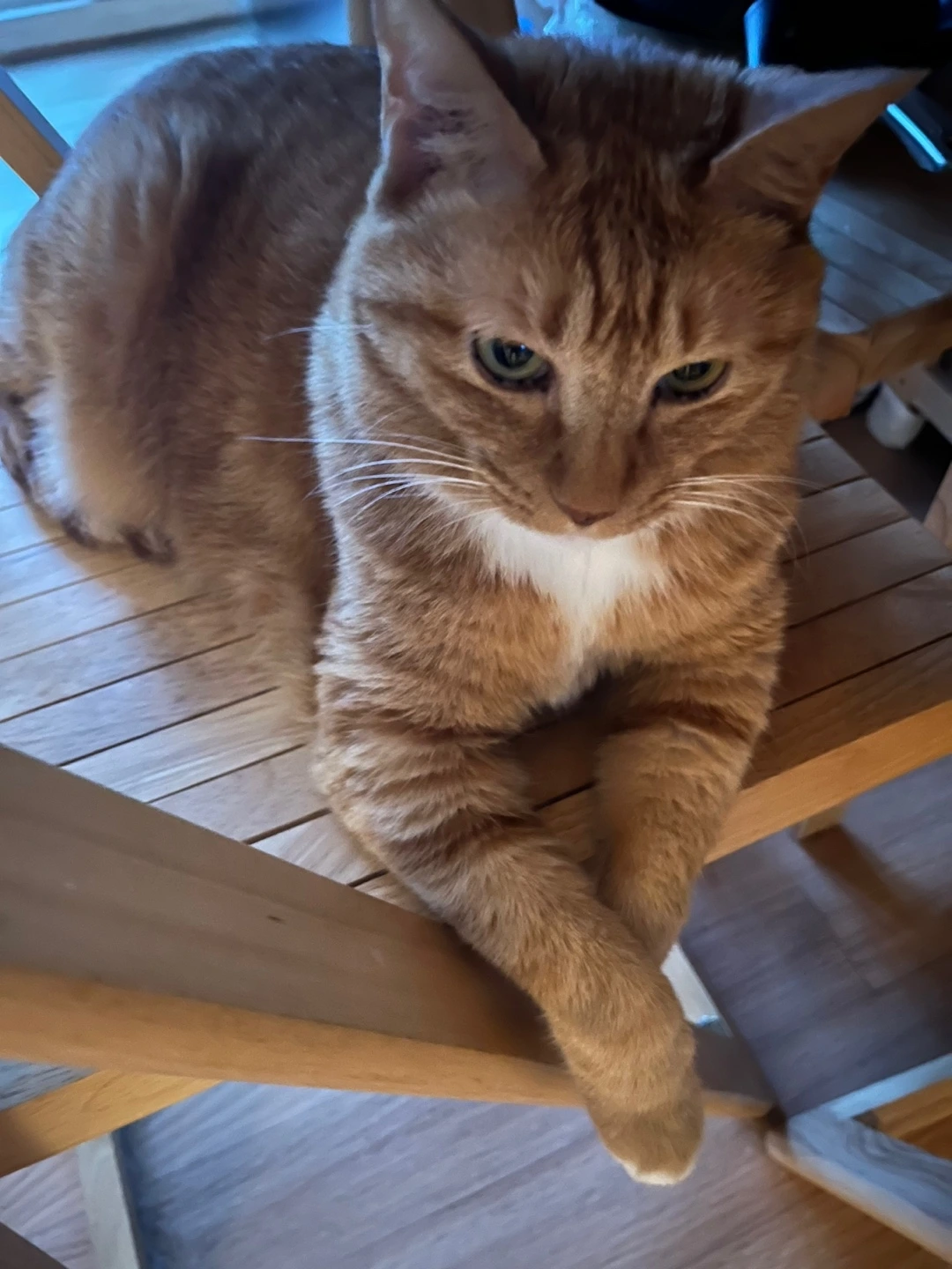 KakaoTalk_Photo_2022-08-23-14-47-43 004.jpeg