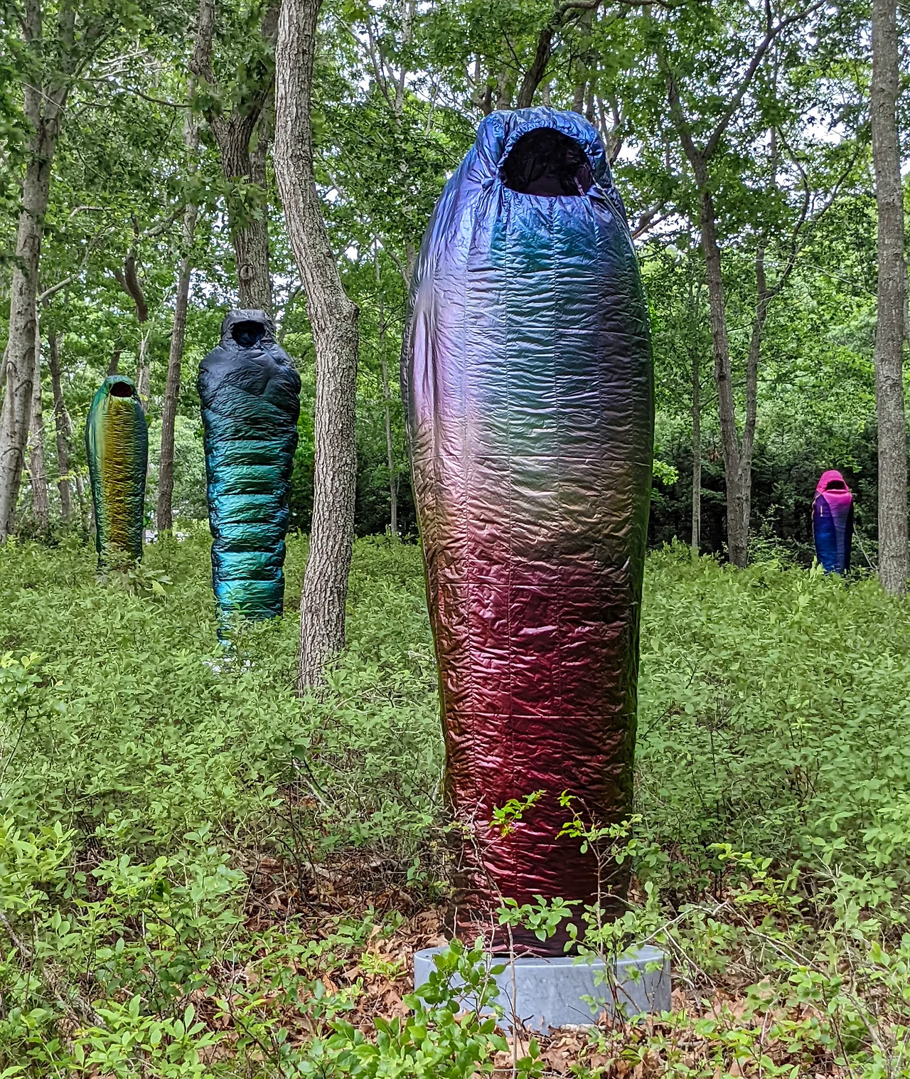 image-asset.jpeg?format=2500w