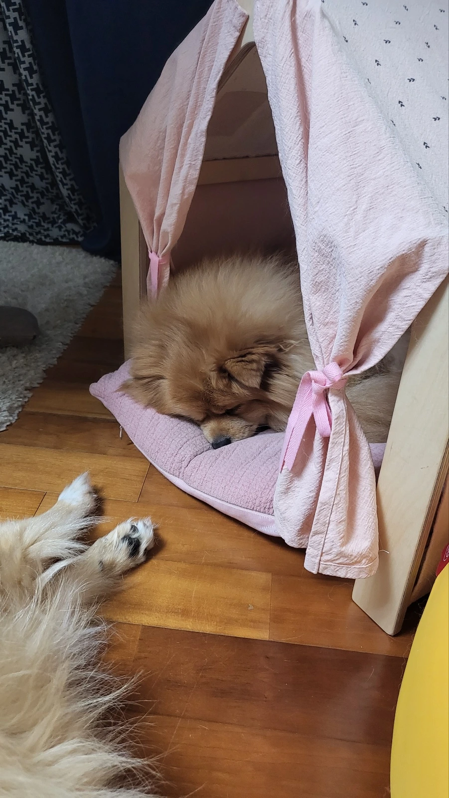 KakaoTalk_Photo_2024-04-24-10-42-28 010.jpeg