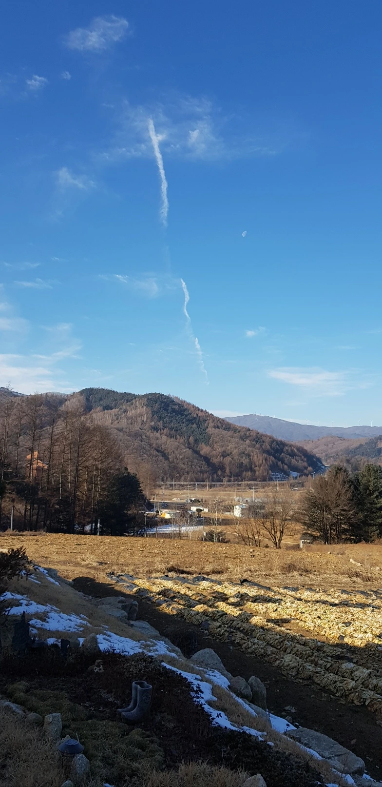 KakaoTalk_Photo_2024-01-17-12-11-56 003.jpeg