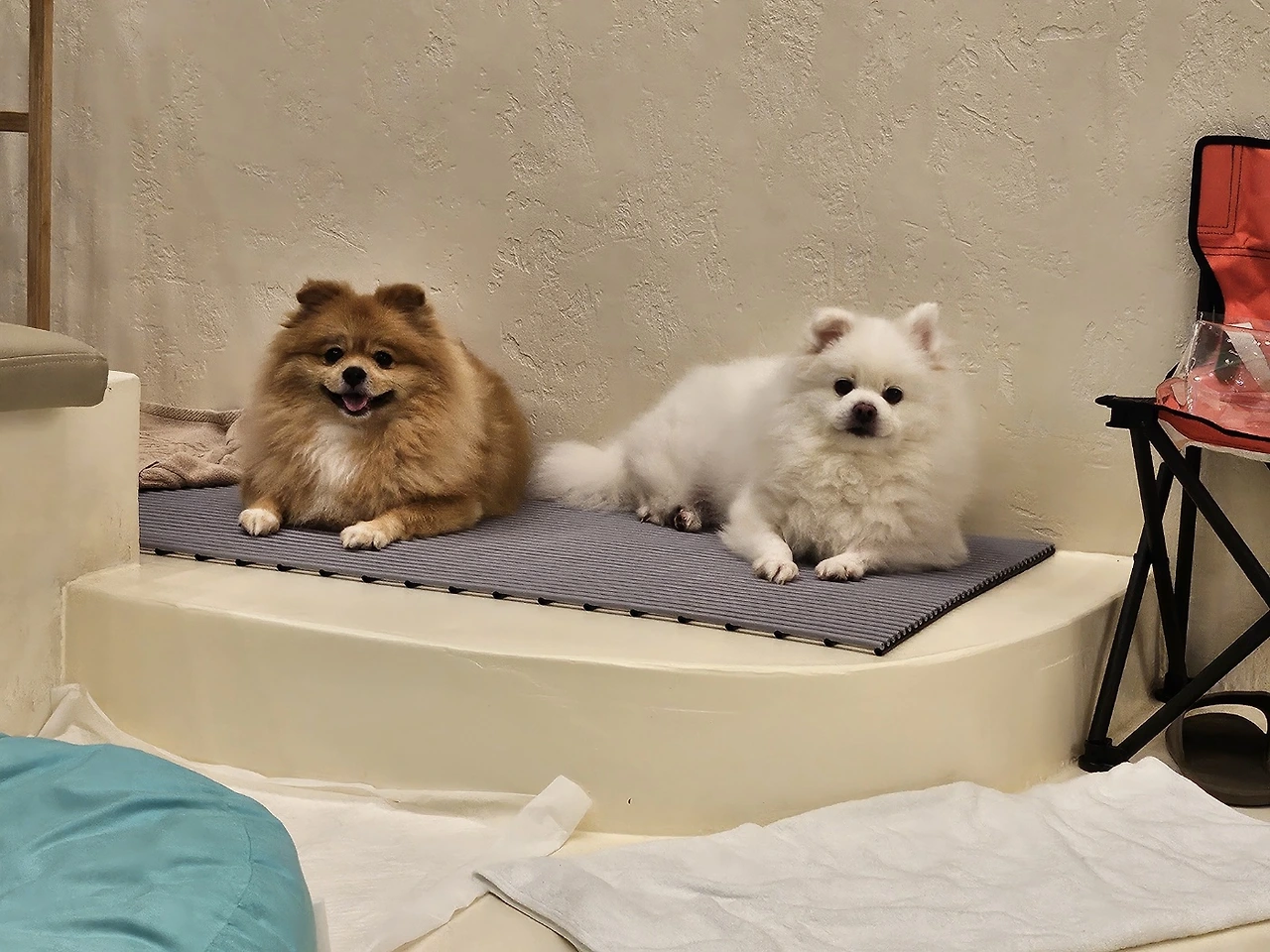 KakaoTalk_Photo_2024-03-13-11-31-26 004.jpeg