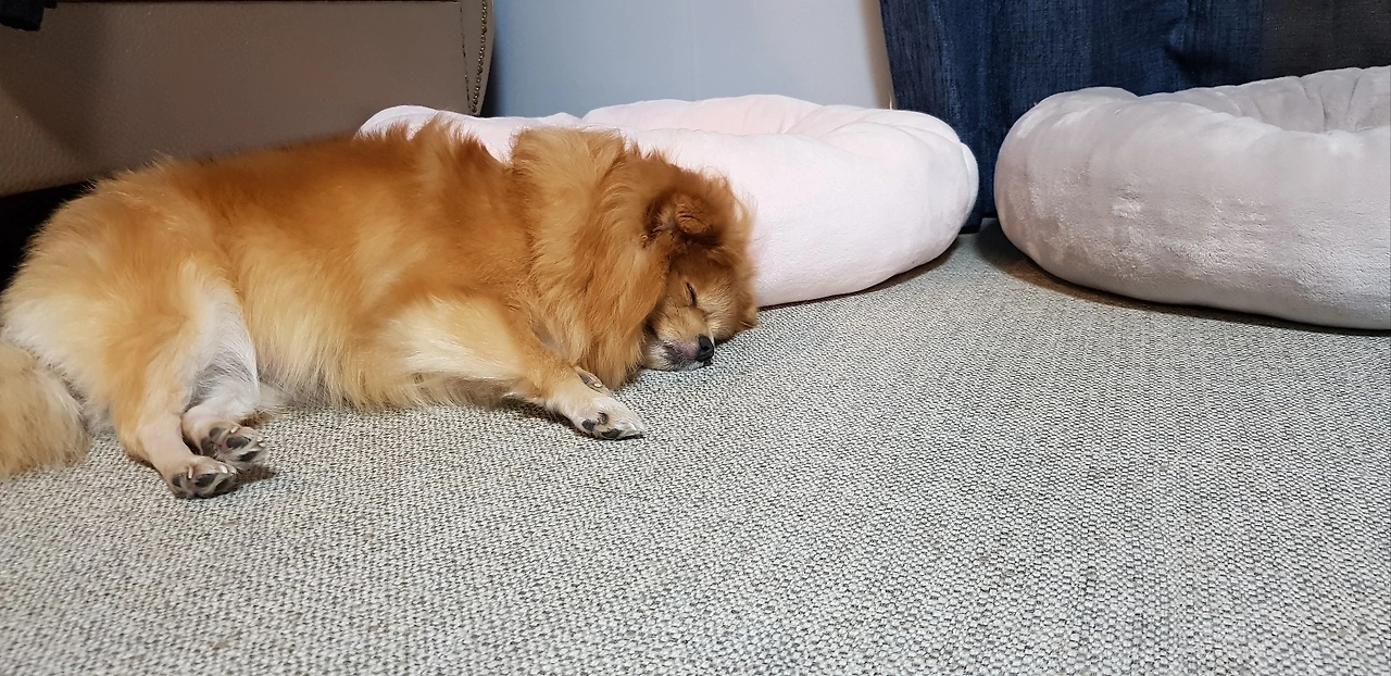 KakaoTalk_Photo_2024-01-31-16-09-43 001.jpeg