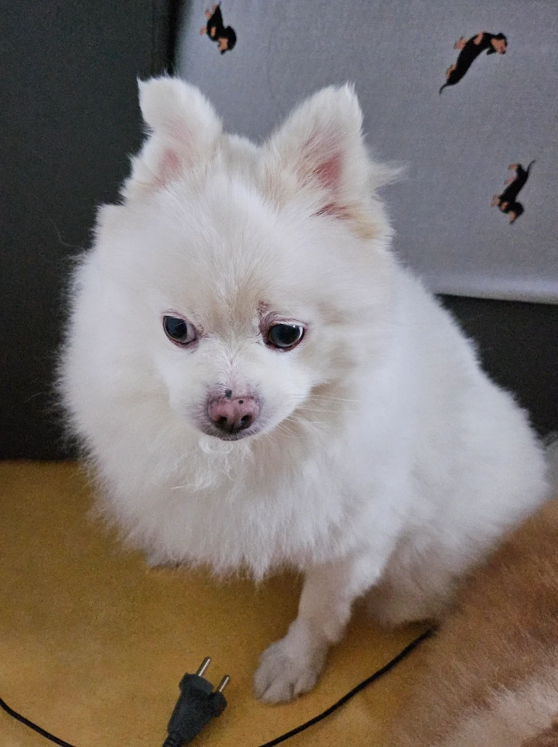 KakaoTalk_Photo_2024-03-13-11-31-26 008.jpeg