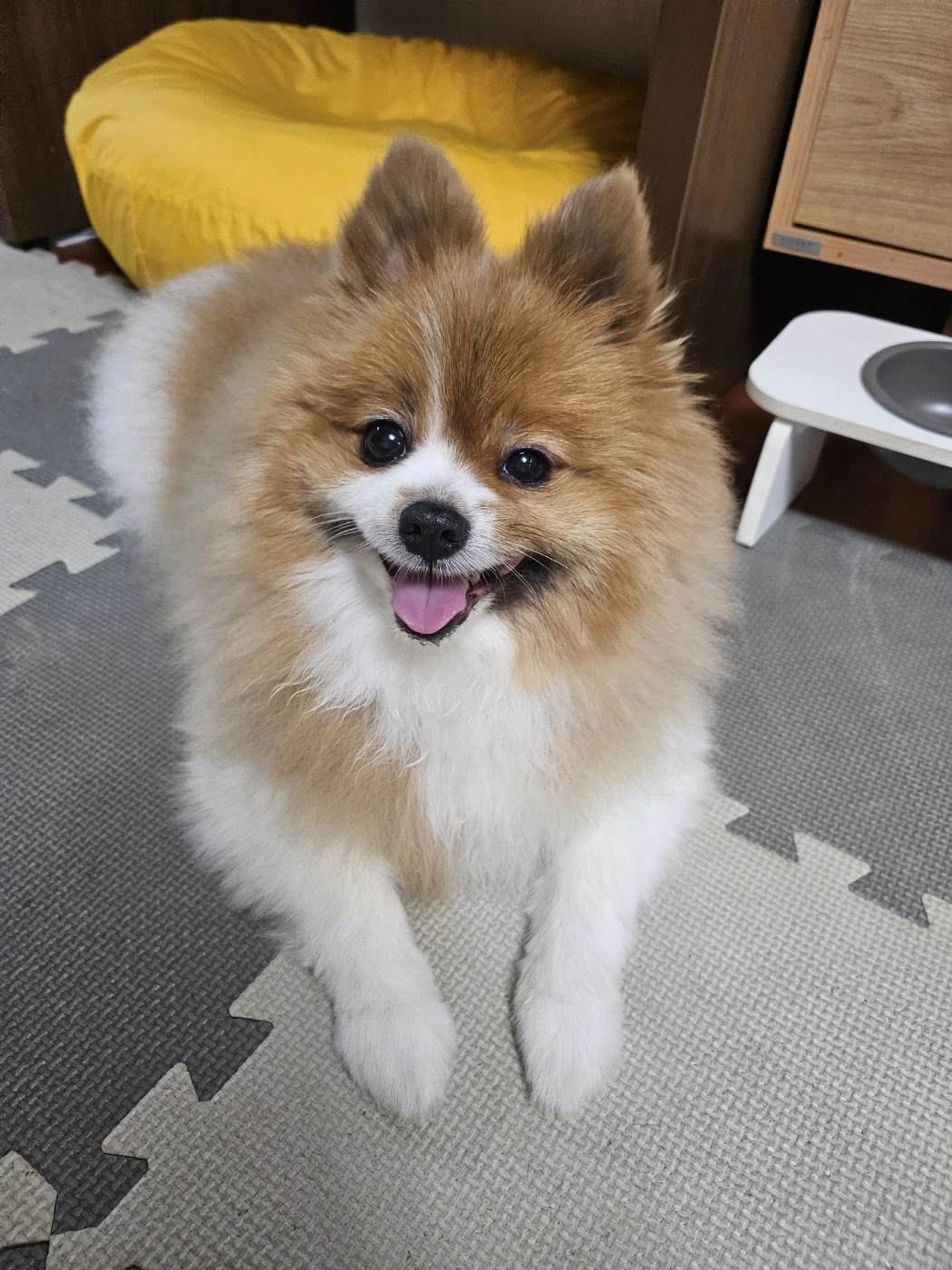 KakaoTalk_Photo_2024-02-21-09-39-32 002.jpeg