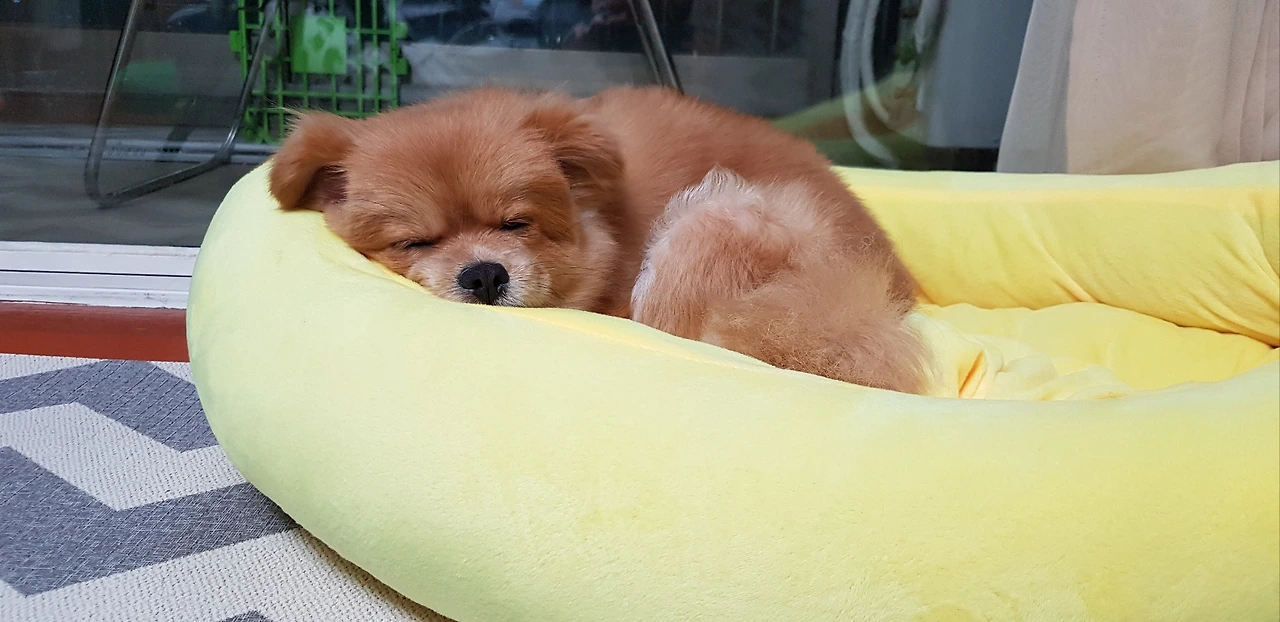 KakaoTalk_Photo_2024-04-24-10-42-26 001.jpeg