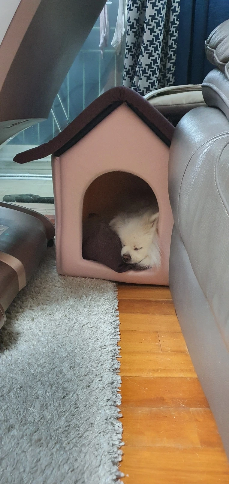 KakaoTalk_Photo_2024-04-24-10-42-27 005.jpeg