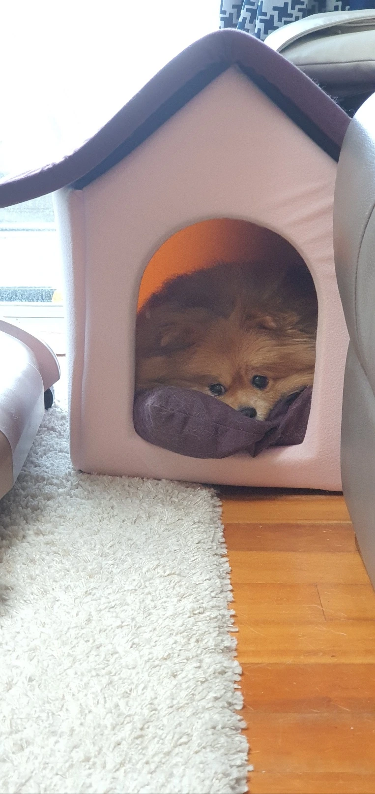 KakaoTalk_Photo_2024-04-24-10-42-27 006.jpeg