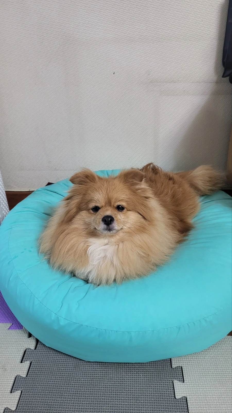 KakaoTalk_Photo_2024-04-24-10-42-28 011.jpeg