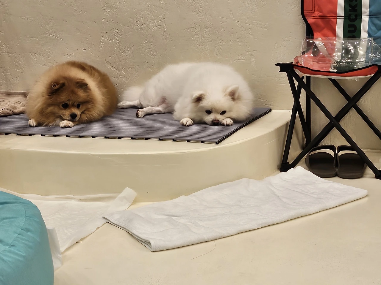 KakaoTalk_Photo_2024-03-13-11-31-26 003.jpeg