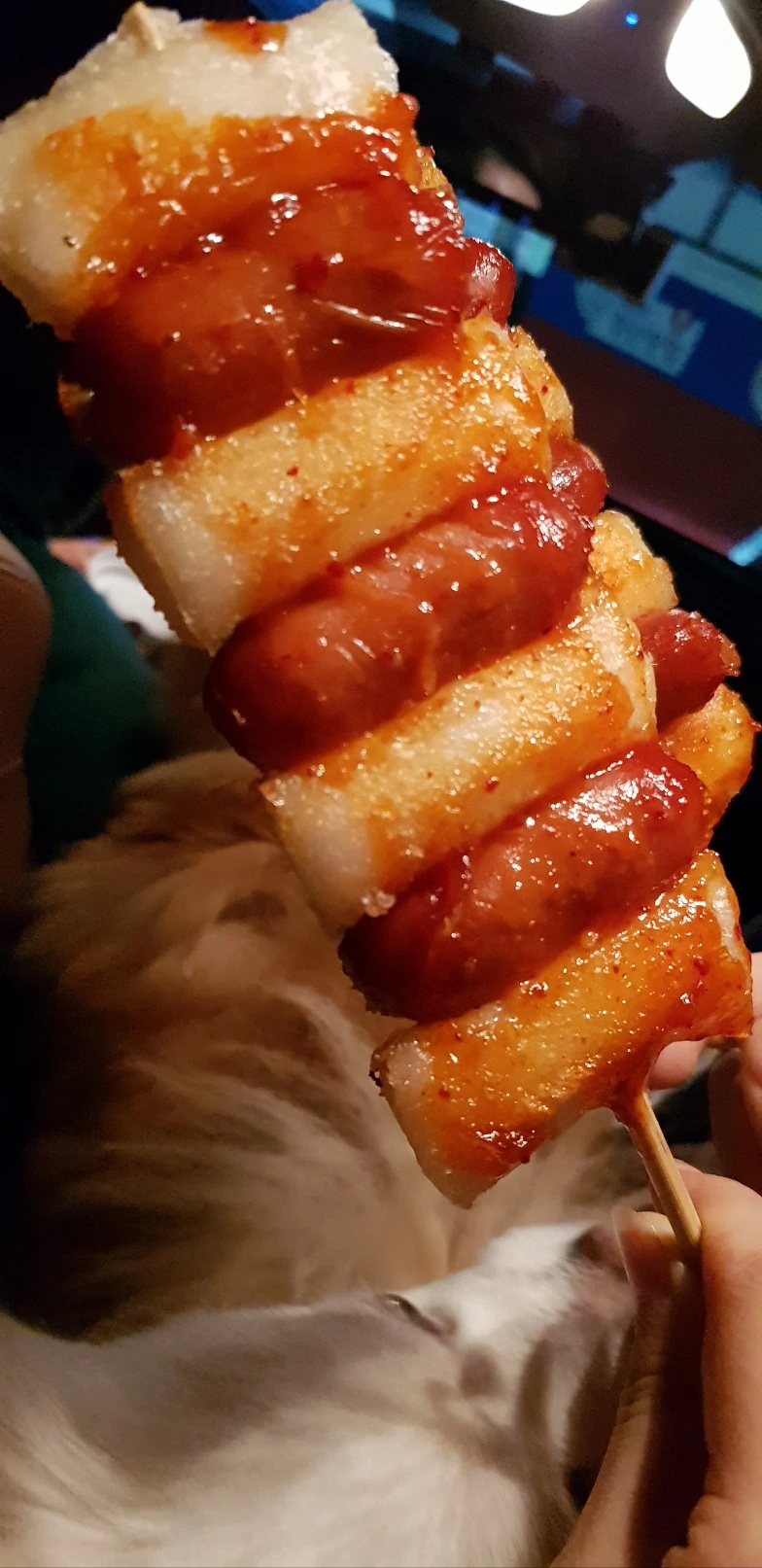 KakaoTalk_Photo_2024-02-14-17-43-09 003.jpeg