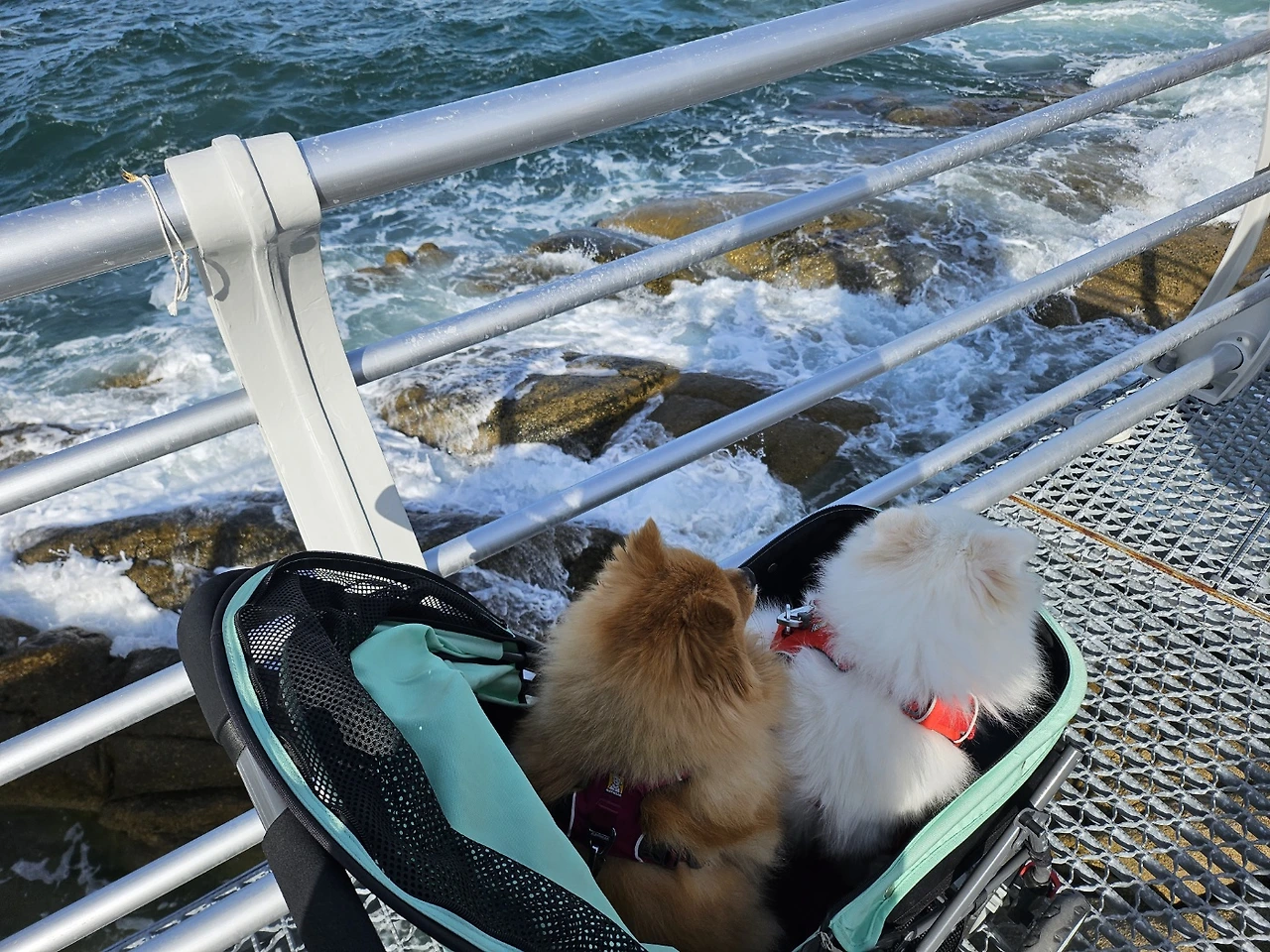 KakaoTalk_Photo_2024-03-13-11-31-26 005.jpeg