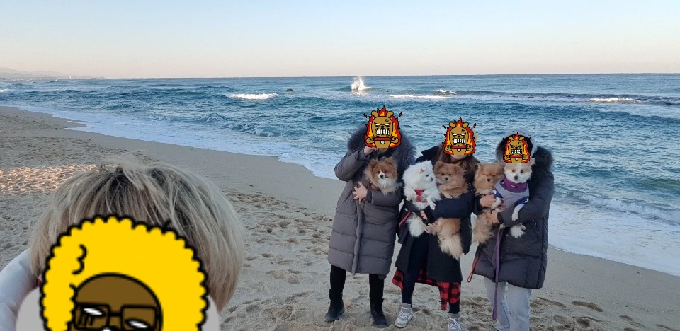 KakaoTalk_Photo_2024-01-31-16-09-43 003.jpeg