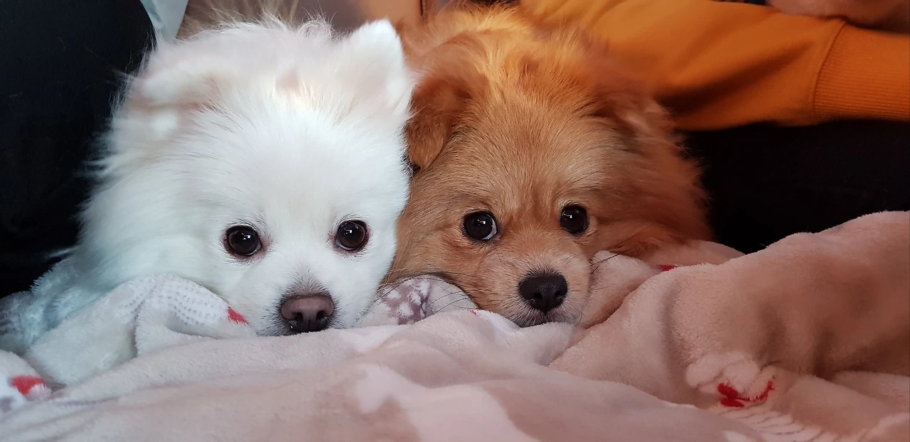 강원도 4.jpeg