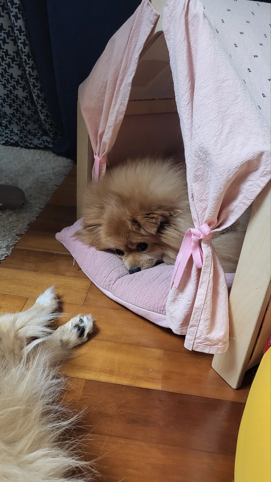 KakaoTalk_Photo_2024-04-24-10-42-27 009.jpeg