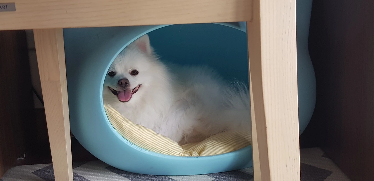 KakaoTalk_Photo_2024-04-24-10-42-27 003.jpeg