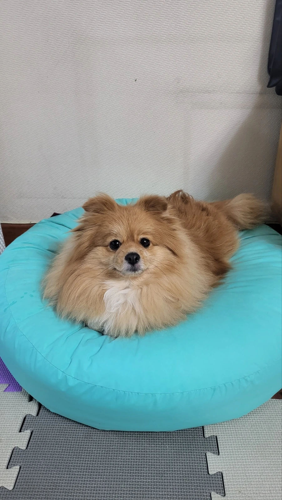 KakaoTalk_Photo_2024-04-24-10-42-28 012.jpeg