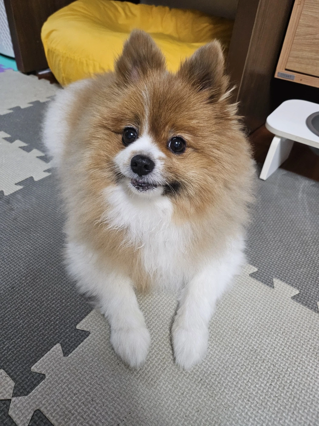 KakaoTalk_Photo_2024-02-21-09-39-32 003.jpeg