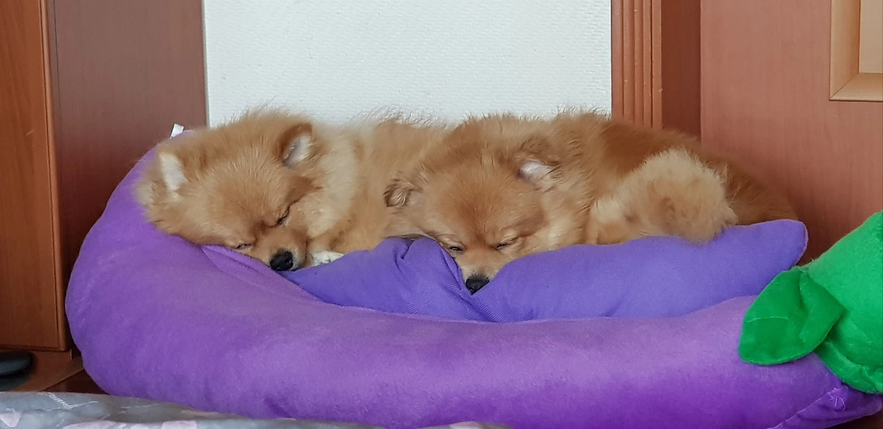 KakaoTalk_Photo_2024-04-24-10-42-27 002.jpeg