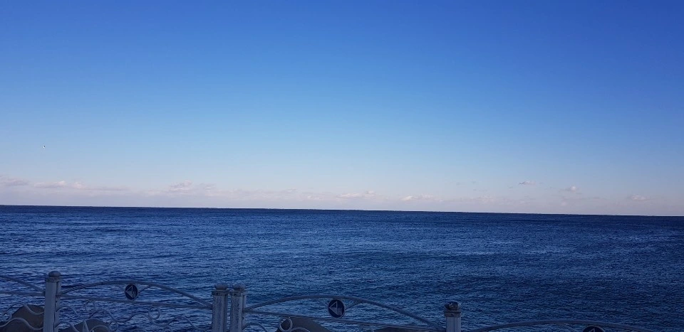 KakaoTalk_Photo_2024-01-31-16-09-44 004.jpeg