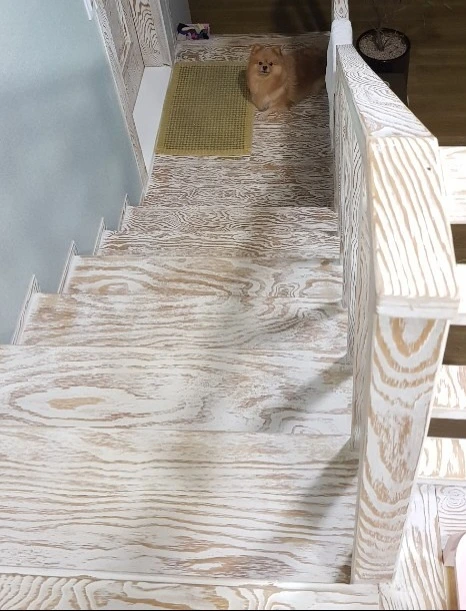 KakaoTalk_Photo_2024-01-23-11-08-15 006.jpeg